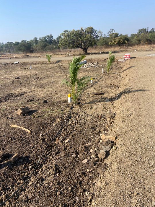 Plot For Sale in Indira Nagar