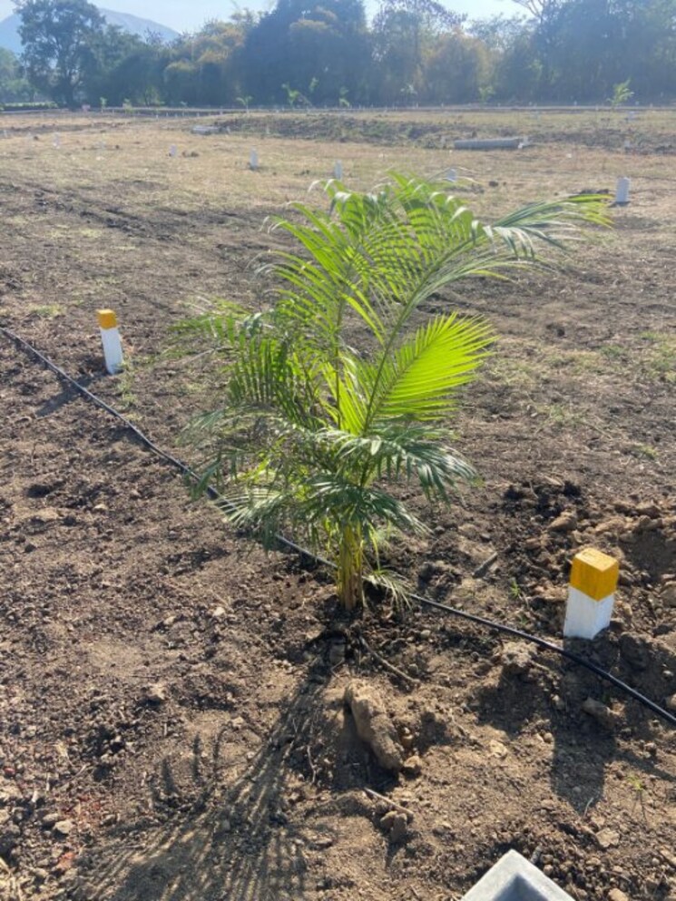 undefined, indira nagar  85 Sq.Yd. Plot In Indira Nagar Nashik 8945354