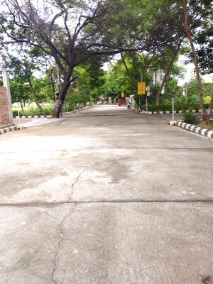  Plot – Exterior View View at Bithoor - for Sale