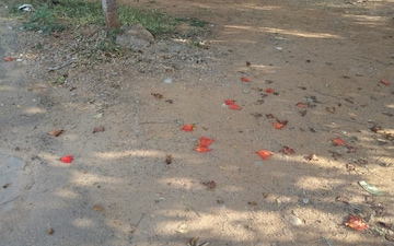 Plot For Sale in Malkajgiri