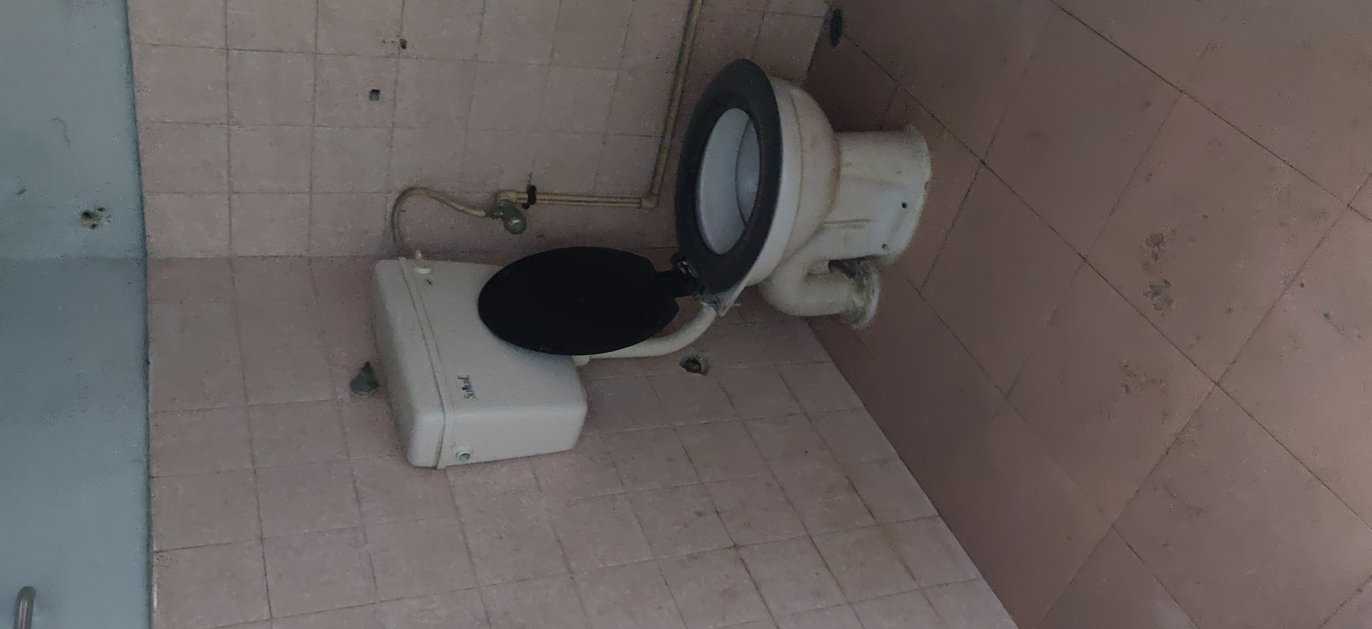 2 BHK Apartment For Rent in Parimala Banjara