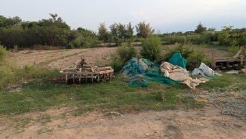  Plot For Sale in Sector 148
