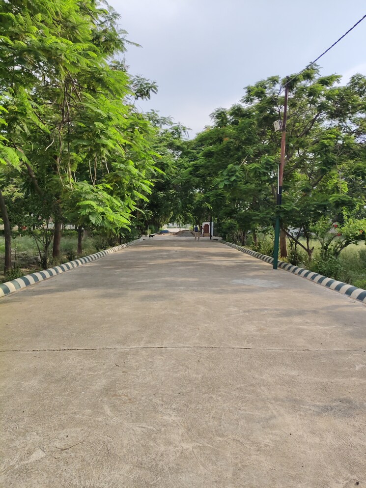 Garden, bithoor  1350 Sq.Ft. Plot In Bithoor Kanpur 8945765