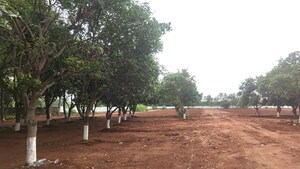  Land For Sale in Moinabad