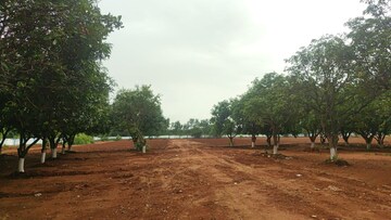 Plot Area in  Land at Moinabad – for Sale