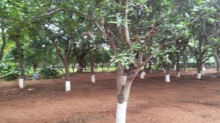 Garden, moinabad Commercial Land 6 Acre In Moinabad Hyderabad 8945742