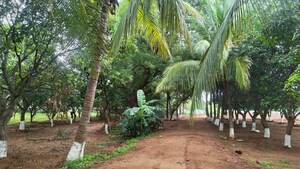  Land – Garden View at Moinabad - for Sale