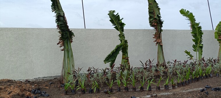 Garden, serenity-mamidi-serenity-homes  400 Sq.Yd. Plot In Turkayamjal Hyderabad 8946352