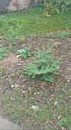 Plot For Sale in Manish Nagar