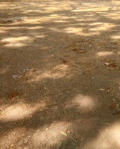Plot For Sale in Manish Nagar