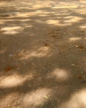  Plot For Sale in Manish Nagar