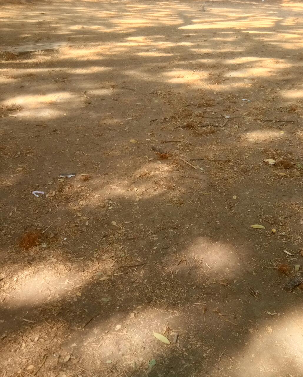 Plot For Sale in Shree Shyam Properties