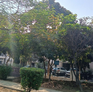 3.5 BHK Builder Floor – Exterior View View at Wave Prime Floors, Ram Nagar - for Rent
