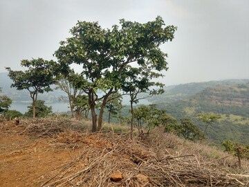 Plot Area in  Plot at Panshet – for Sale
