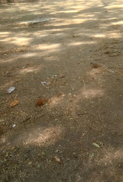 Plot For Sale in Manish Nagar