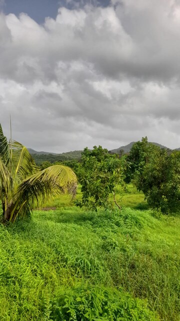  Plot – Garden View at Alibag - for Sale