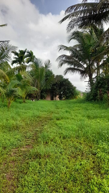  Plot For Sale in Alibag