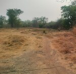 27225 Sq.Ft. Land in Bapgaon