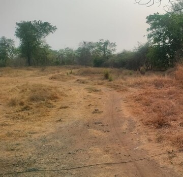  Land For Sale in Bapgaon