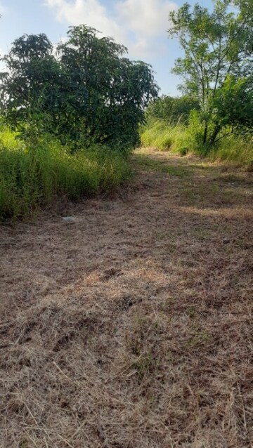 Plot Area in  Plot at Dapoli – for Sale