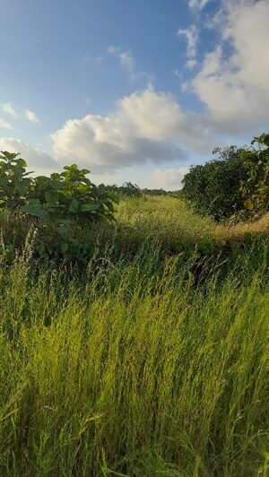  Plot – Exterior View View at Dapoli - for Sale