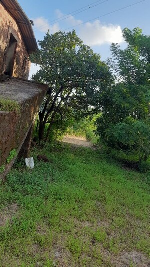  Plot – Exterior View View at Dapoli - for Sale