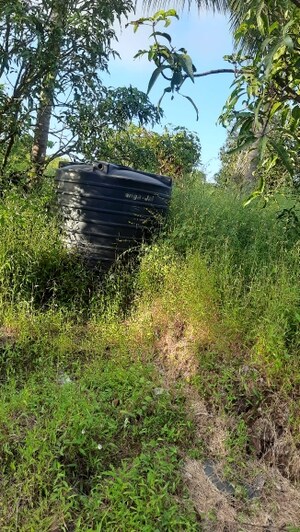  Plot – Exterior View View at Dapoli - for Sale