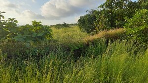  Plot – Exterior View View at Dapoli - for Sale