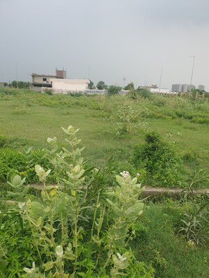  Plot – Garden View at YEIDA Plots, Dankaur - for Sale