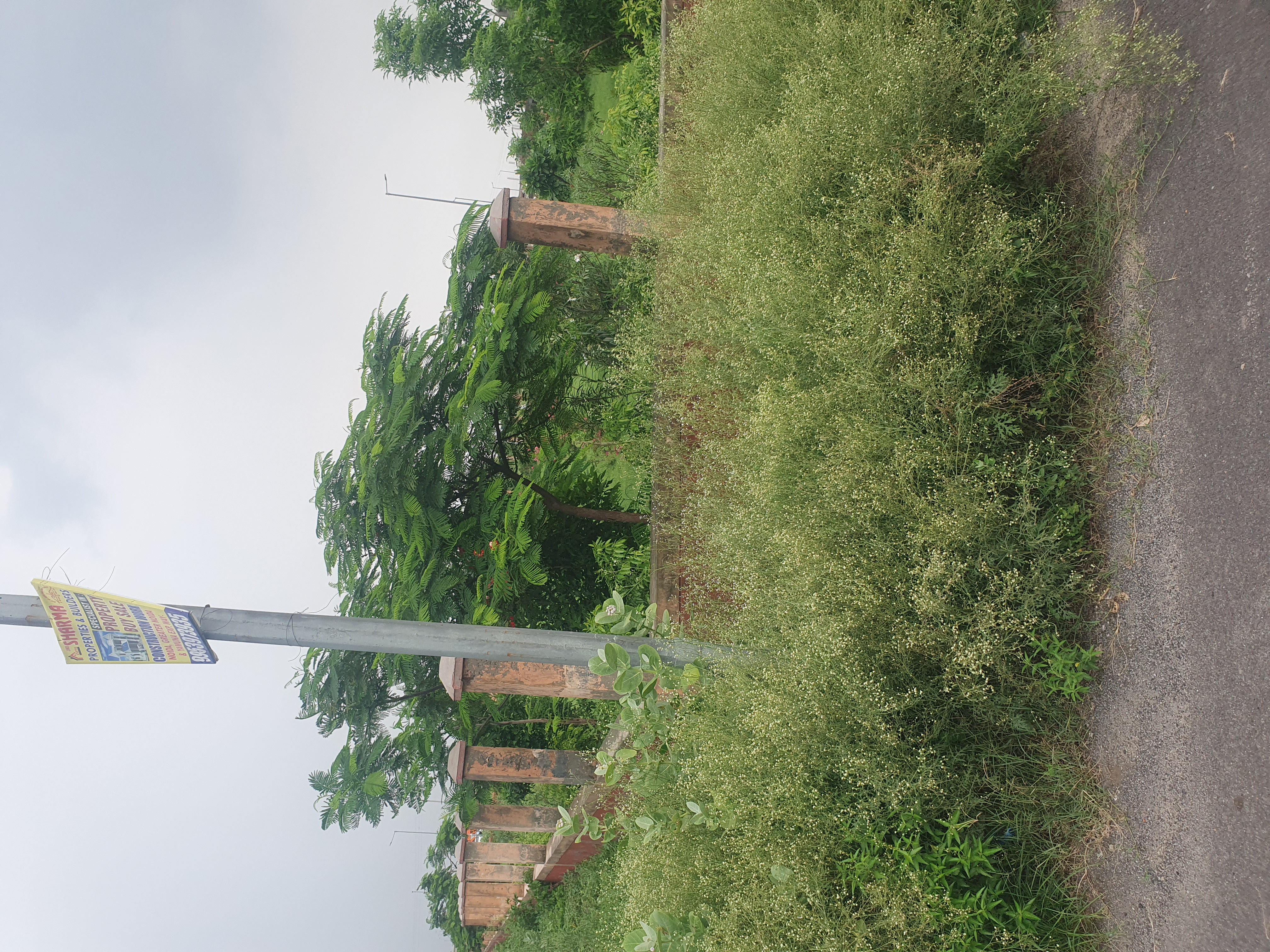 Plot For Sale in YEIDA Plots