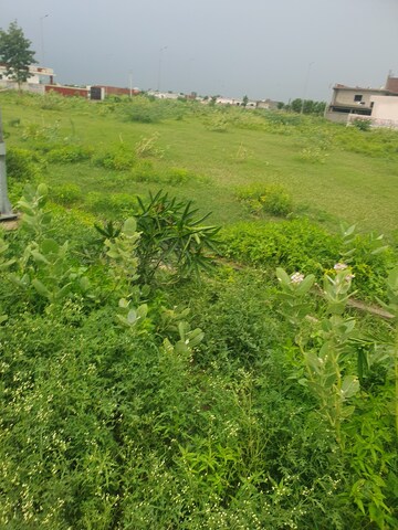  Plot For Sale in YEIDA Plots, Dankaur