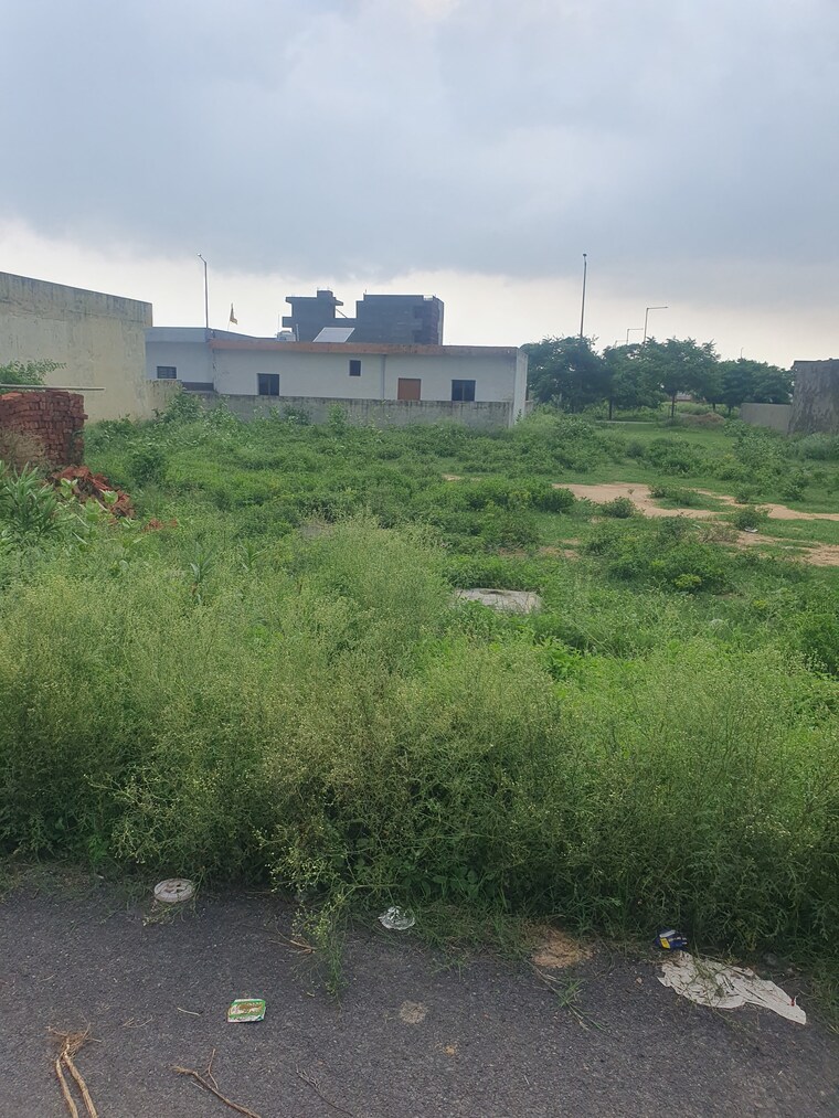 Garden, yeida-plots  2000 Sq.Mt. Plot In Dankaur Greater Noida 8947673