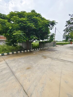  Plot – Exterior View View at Bithoor - for Sale