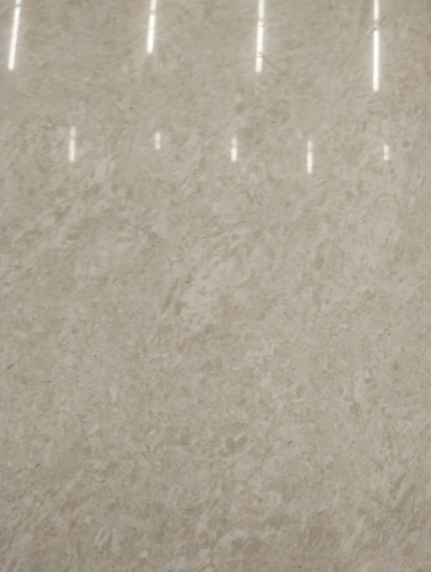 3 BHK + Pooja Room Apartment For Rent in Vajras Jasmine County