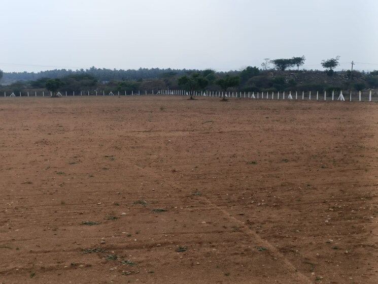 undefined, chettipalayam Commercial Industrial Plot 6 Acre In Chettipalayam Coimbatore 8947953