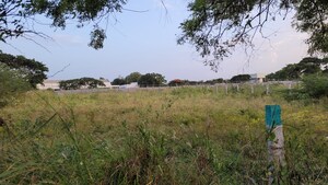  Plot For Sale in Peelamedu