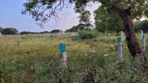 Plot Area in  Plot at Peelamedu – for Sale