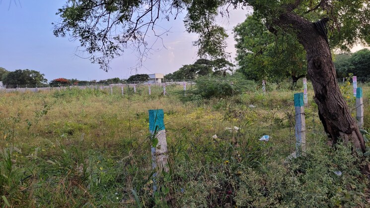 undefined, peelamedu  14810 Sq.Ft. Plot In Peelamedu Coimbatore 8947962