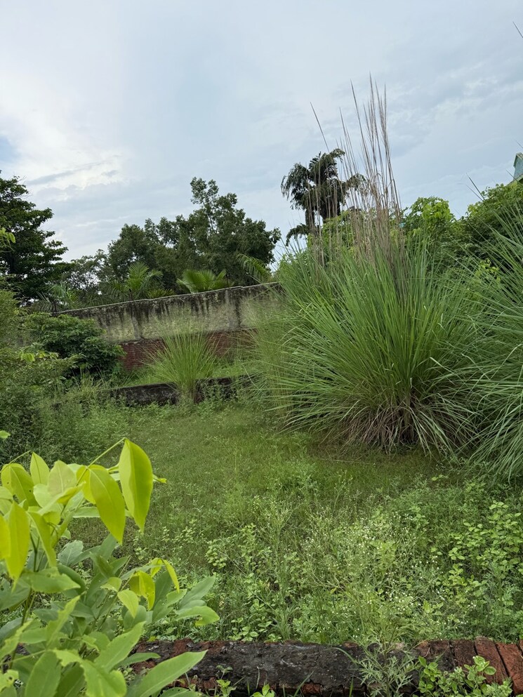 Exterior View, surya-chaman-enclave  108 Sq.Yd. Plot In Iradatpur Urf Rajatpur Greater Noida 8947958