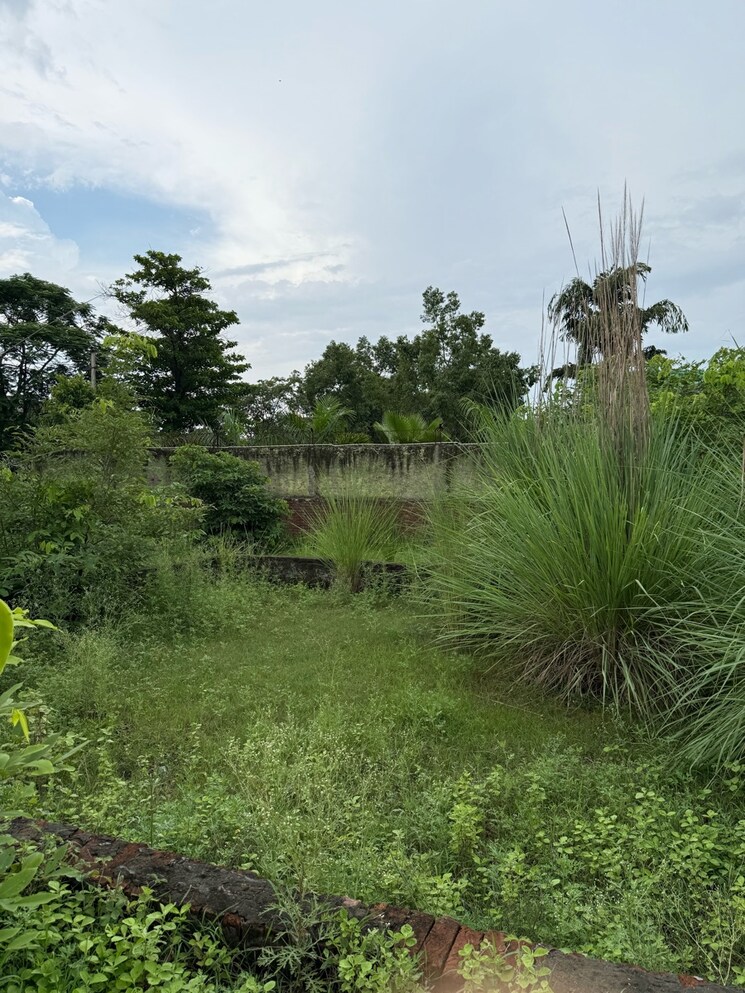 Exterior View, surya-chaman-enclave  108 Sq.Yd. Plot In Iradatpur Urf Rajatpur Greater Noida 8947958