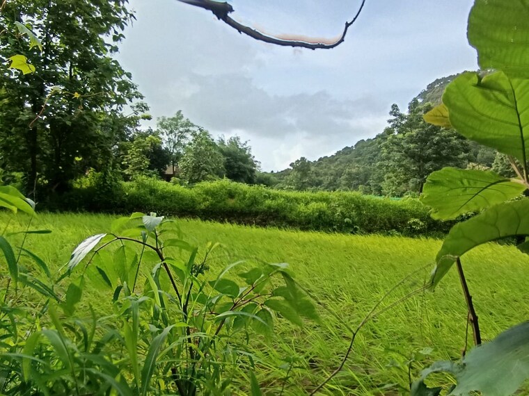 Exterior View, mangaon  40000 Sq.Ft. Plot In Mangaon Raigad 8947963