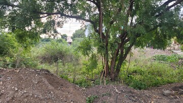 Plot Area in  Plot at Villankurichi – for Sale