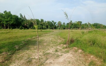 Plot For Sale in Sonarpur