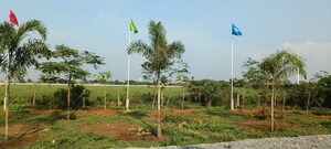  Plot – Garden View at Chandi - for Sale