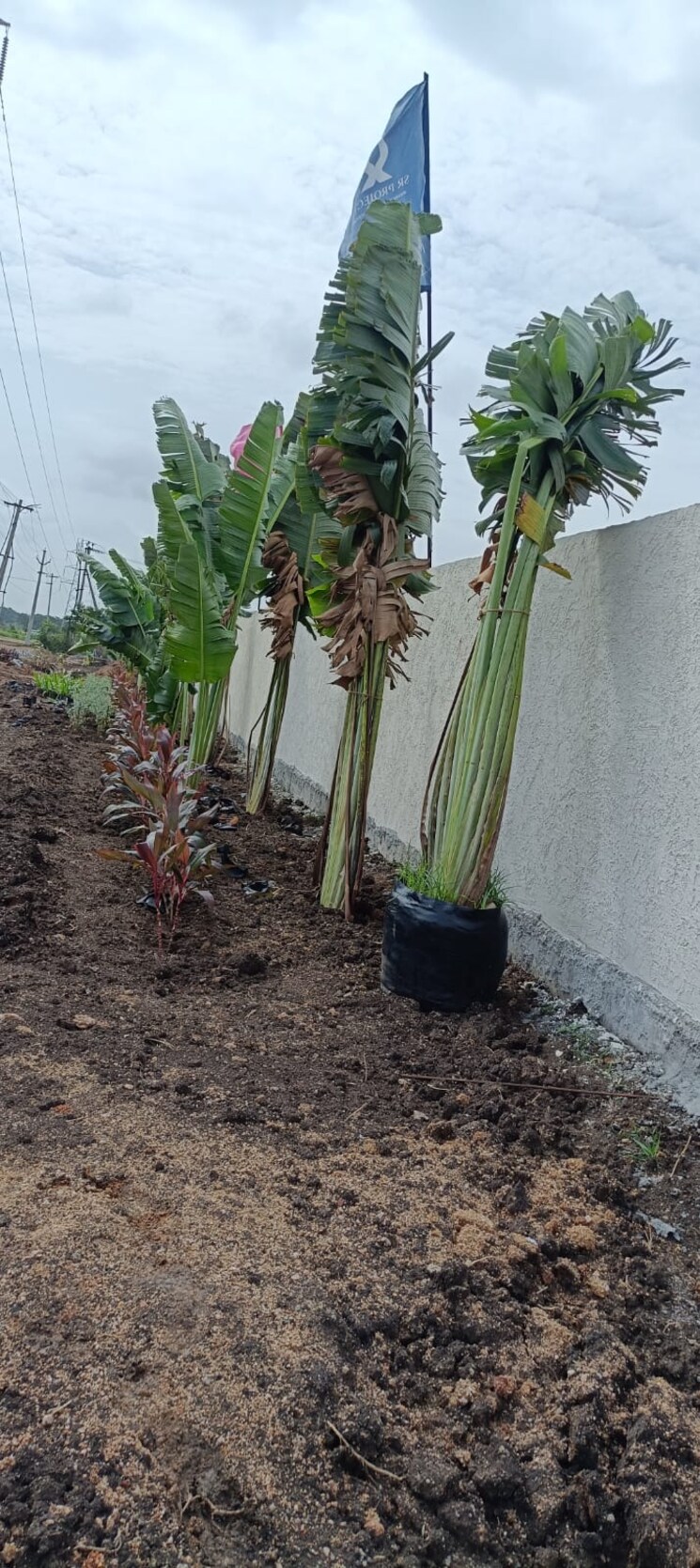 Exterior View, serenity-mamidi-serenity-homes  150 Sq.Yd. Plot In Turkayamjal Hyderabad 8948176