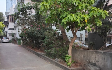 Plot For Sale in Santacruz West