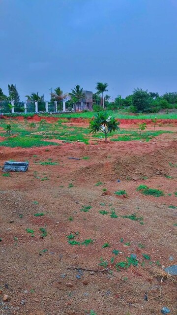 Plot Area in  Plot at Kamandoddi – for Sale