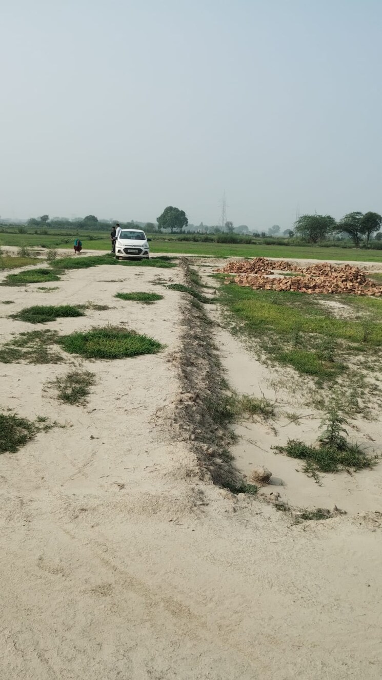 undefined, bamnikhera  145 Sq.Yd. Plot In Bamnikhera Palwal 8948389