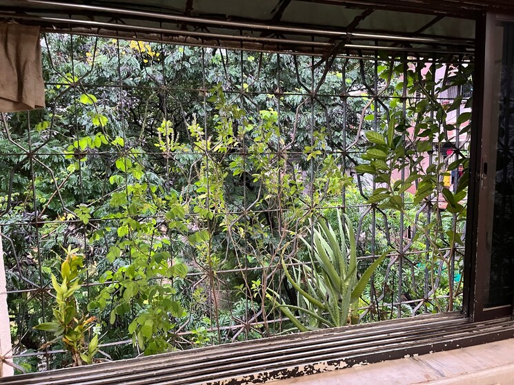 Exterior View, shantinagar-chs 1 Bedroom 560 Sq.Ft. Apartment In Mira Road Thane 8948516