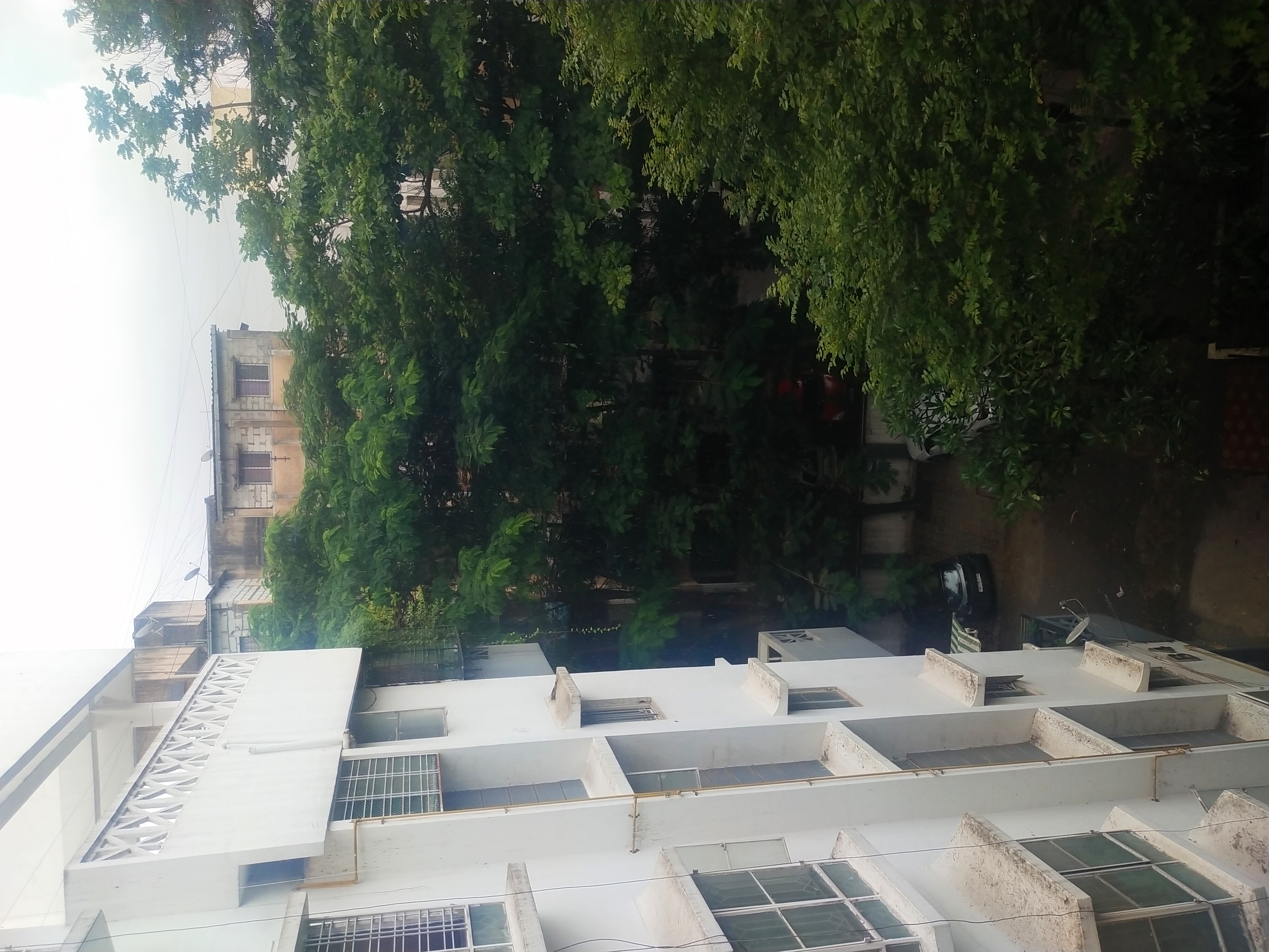 1.5 BHK Apartment For Rent in Gardeniya Apartment